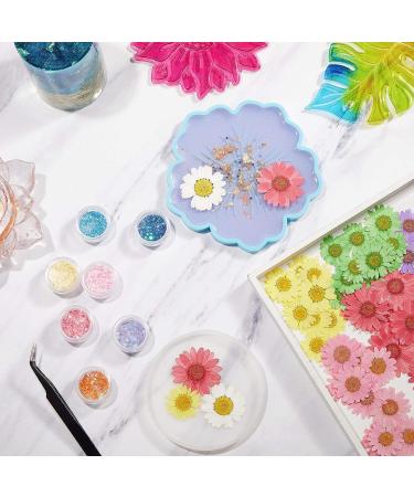 84 Pieces Real Dried Pressed Flowers - Natural Daisy Variety for DIY Crafts & Decorations - 7 Colors - Resin Casting, Jewelry, Candle, Soap Making Supplies - Buy Online on SooperMarket.com