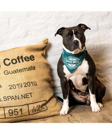 Max & Molly H-Harness - Coffee Break | International Shipping Available - Buy Online on SooperMarket.com