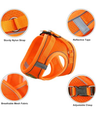 Buy Zhenle Adjustable Cat Harness for Small Animals - Perfect Fit & Comfort for Cats (M) - International Shipping Available - Buy Online on SooperMarket.com