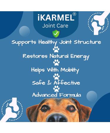 iKarmel Hip and Joint Care Supplements for Dogs - Glucosamine, Chondroitin, Green-Lipped Mussels - Senior to Puppy Treats for Stiff Joints (180 Chews) - Buy Online on SooperMarket.com