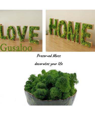 Natural Green Reindeer Moss 3.5oz - Ideal for Potted Plants, Crafts, and Wedding Decor - Buy Online on SooperMarket.com