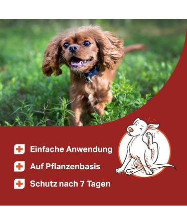 MEDIDOG Natural Spot On - 50ml Tick Repellent for All Dog Breeds | Chemical-Free Ready-to-Use Solution - Buy Online on SooperMarket.com