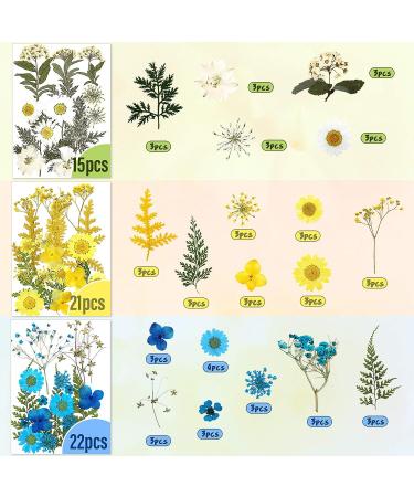 223 Pieces Real Dried Flowers, Leaves & Butterfly Stickers Set - Colorful Natural Daisies & Adhesive Decals for DIY Resin Jewelry & Nail Crafts - Buy Online on SooperMarket.com