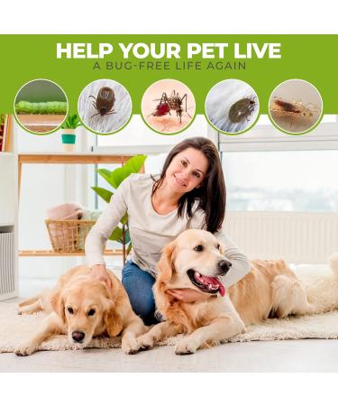 Rubigo 3 Pack Tick Remover Tools For Dogs Cats Humans. | Quick Safe And Painless Removal Of All Tick Sizes. 3 Different Sized Strong Plastic Tick Removers | For All Pets (Green) - Buy Online on SooperMarket.com