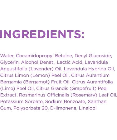 Sapadilla Sweet Lavender + Lime Biodegradable Dish Soap - 16 oz (Pack of 1) - Buy Online on SooperMarket.com