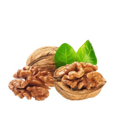 New Harvest 2022: 25kg Raw & Unprocessed Walnuts in Bowl for Squirrels - 100% Vegan & Natural - Buy Online on SooperMarket.com