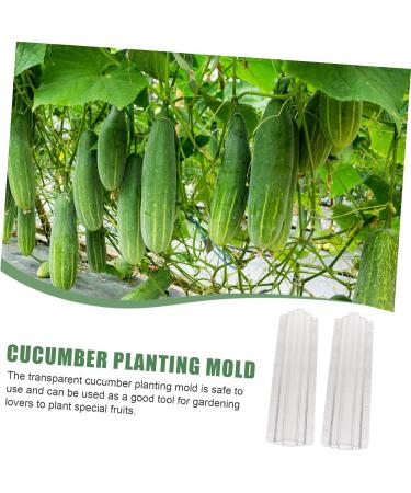 Toddmomy 2pcs Vegetable Shaping Clear Fruit Vegetable Maker Cucumber Shaper Square - Buy Online on SooperMarket.com