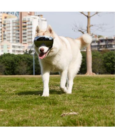 Ownpets Dog Goggles with Magnetic & Replaceable Lenses for UV, Wind, Dust, Snow Protection (Medium/Large Dogs) - Buy Online on SooperMarket.com