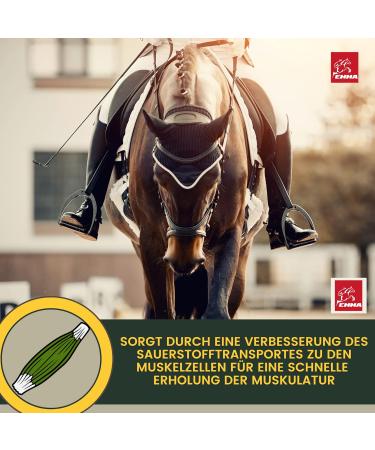 Premium Vitamin Paste for Horses | Amino Acids & Energy Booster | Muscle Regeneration & Performance | 3x30ml - Buy Online on SooperMarket.com