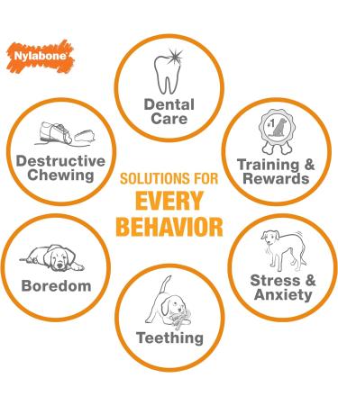 Nylabone Puppy Chew Toy Twin Pack - Medium Chicken Flavor Teething Toys for Puppies - Best Puppy Supplies (2 Count) - Buy Online on SooperMarket.com