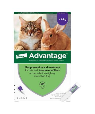 Advantage Flea Treatment 80 for Large Cats and Rabbits 4x Pipette For Pets Weighing More than 4kg Spot-on Treatment to Kill and Prevent Fleas on Large Cats and Treat Fleas on Pet Rabbits Cats Rabbits 4kg+