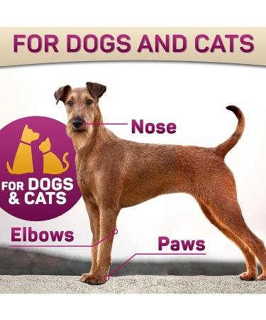 Natural Dog Paw Balm for Hot Pavement Protection | Paw Wax for Dry & Cracked Paws | Paw Moisturizer for Cats & Dogs - Buy Online on SooperMarket.com