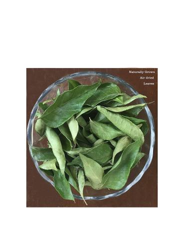 Organic Whole Air Dried Curry Leaves 0.3 oz - Premium Quality (10 g) - 0.3 Ounce Pack - Fresh and Aromatic - Buy Online on SooperMarket.com