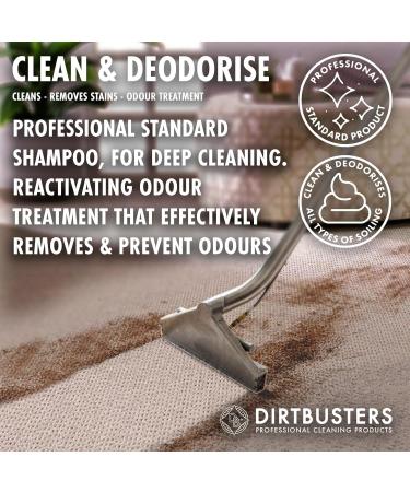 Dirtbusters Carpet Cleaner Shampoo Solution Clean & Deodorise 3-in-1 Cleaning Stain Remove & Odour Treatment Berry Fresh (1L) - Buy Online on SooperMarket.com