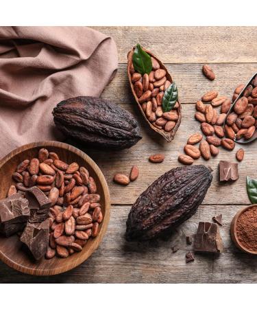 Kocao Powder Bio 500g - Premium Criollo Cocoa Powder | Natural & Aromatic | Achterhof  - Buy Online on SooperMarket.com