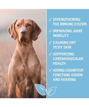Upraw Scottish Salmon Oil For Dogs Cats Horse - Fish Oil Food Treats Supplement for Coat Immune Support Itchy Skin Joint & Brain Health contains Omega 3 6 & 9 (500ml) - Buy Online on SooperMarket.com