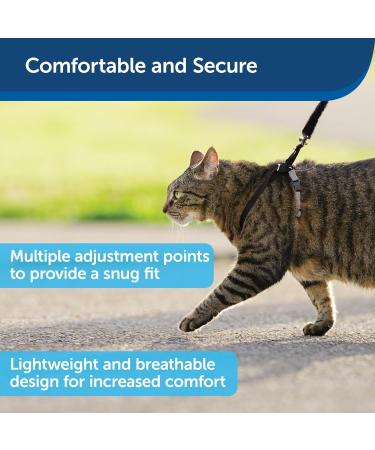 PetSafe Come with Me Kitty Harness & Bungee Leash - Adjustable Cat Harness for Large Cats | Black/Silver & Black/Beige - International Shipping Available - Buy Online on SooperMarket.com