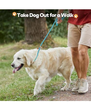 Durable 1.4cm x 150cm Pink Reflective Slip Lead Dog Leash | Adjustable Anti-Choking Training Rope for Small Medium Large Dogs and Cats | Grand Line Slip Lead - Buy Online on SooperMarket.com