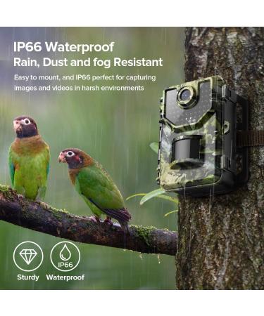 1520P 20MP Trail Camera with 120 Wide-Angle Motion Sensor, 0.2s Trigger Time, 940nm No Glow, IP66 Waterproof - Wildlife Game Camera for Monitoring - Green - Buy Online on SooperMarket.com
