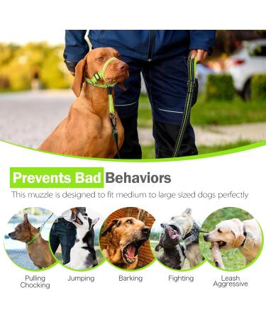 Buy Weesiber Soft Dog Handlebars - Adjustable Padded Halter with Reflective Stripes for Training & Walking | Large Green - No Pulling Comfortable Design - Buy Online on SooperMarket.com
