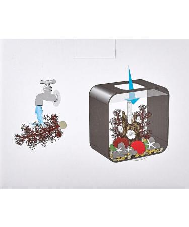 Biorb 48442 Decor Set 15L Red Forest - Realistic Aquatic Plants Roots & Stones for Freshwater & Marine Aquariums - Buy Online on SooperMarket.com
