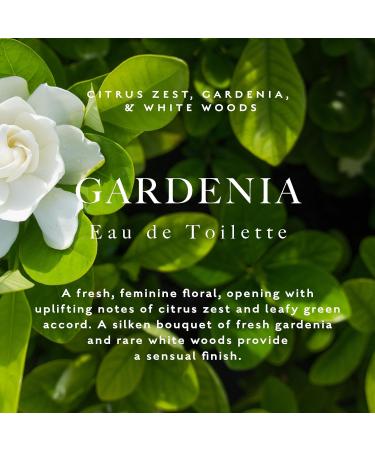 Caswell-Massey Gardenia Eau de Toilette Discovery Uplifting Feminine Floral Fragrance Inspired by New York Botanical Garden Sample Size Vial Perfume for Women 0.25 Fl Oz Gardenia 0.25 Fl Oz (Pack of 1) - Buy Online on SooperMarket.com