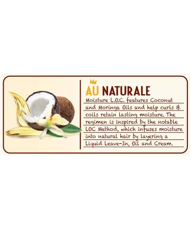 SoftSheen-Carson Dark and Lovely Au Naturale Moisture L.O.C. Soak It Up Oil Cocktail - 4.1 fl oz Hair Oil for Hydration & Shine | Buy Internationally - Buy Online on SooperMarket.com
