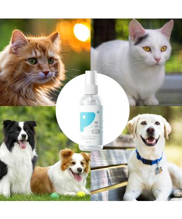 PUCHEN Teeth Cleaning Spray for Pet Pet Teeth Cleaning Spray 60ml - Cleaning Dog Teeth Spray Odors and Freshen Breath for Home Outdoor Travel Use - Buy Online on SooperMarket.com