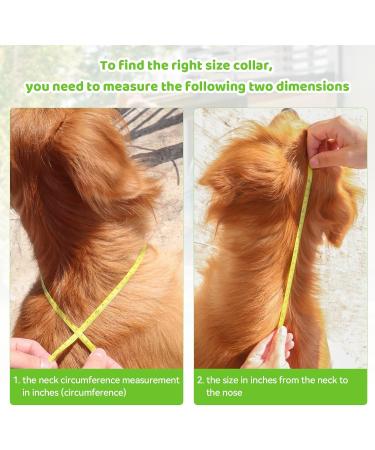 ZEEJORY Adjustable Cat & Dog Cone Collar for Fast Healing - M(28-37cm/11-14.5in) - Buy Online on SooperMarket.com