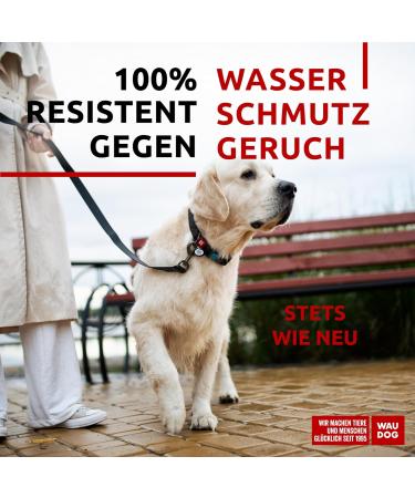 Waudog Waterproof Adjustable Dog Collar - Durable & Stylish Collars for Big Dogs Small Dogs & Puppies with Secure Plastic Lock - Buy Online on SooperMarket.com
