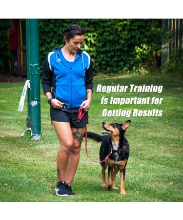 BarxBuddy Anti Barking Control Device - Ultrasonic Sound with LED Lights and Strap - Safe for All Breeds & Ages - Buy Online on SooperMarket.com