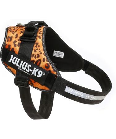 IDC Powerharness 3XL/4 - Leopard Print | Durable Dog Harness for Large Breeds | International Shipping Available - Buy Online on SooperMarket.com