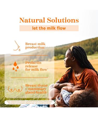 Pink Stork Total Lactation: Breast Feeding Essentials Lactation Supplements for Increased Breast Milk Women-Owned 60 Capsules - Buy Online on SooperMarket.com