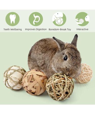 Camiter 9-Piece Chewing Toy Set for Small Animals | Hamsters Rabbits Guinea Pigs & More - Durable Chew Cases & Cube Toys - Buy Online on SooperMarket.com