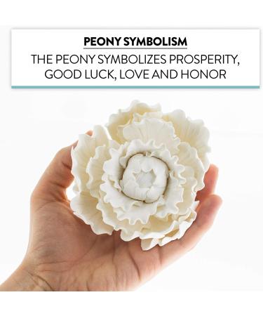 Global Sugar Art Premium Peony Sugar Cake Flower  White  Large  1 Count by Chef Alan Tetreault - Buy Online on SooperMarket.com