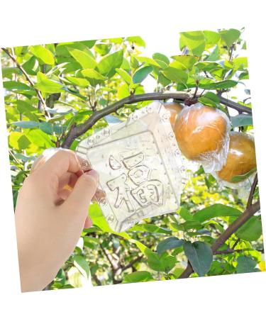 Kisangel 6 Pcs Square Apple Molds Vegetable Growth Mold Growing Fruit Mold Shaper Mould Cover Stereotypes - Buy Online on SooperMarket.com