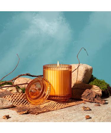 La Jolie Muse Sandalwood & Patchouli Scented Candle - Luxury Glass Jar Candle Gift for Home Decor - 80 Hours Long Burning - 12.3oz - Buy Online on SooperMarket.com