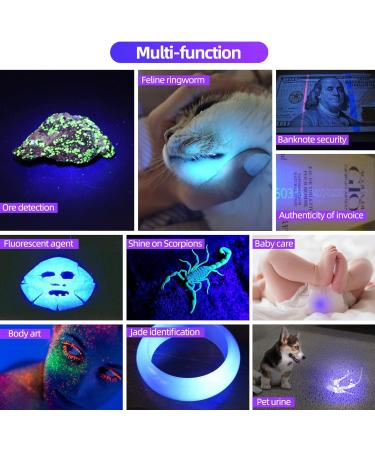 Darkbeam UV Torch 365nm Flashlight | Rechargeable Blacklight 36W LED | Portable Pet Urine Detector | Resin Curing & Leak Detection - Buy Online on SooperMarket.com