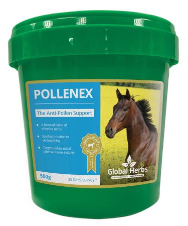 Global Herbs Pollenex 500 g transparent