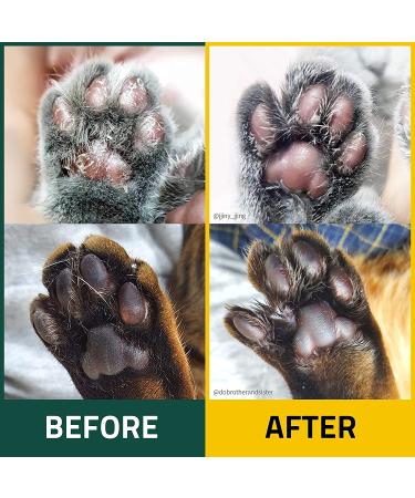Breezytail PetOCera Itchy Skin Relief Cream for Cats - Soothing Paw Balm | Dermatitis Solution for Dry & Sensitive Skin | 1.35oz - Buy Online on SooperMarket.com