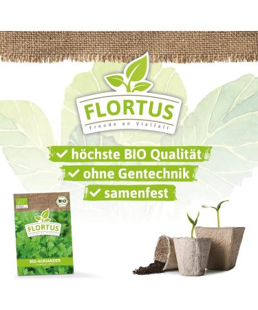 Buy Flortus Bio Koriander Seeds | Organic Herb Seeds for Garden Balcony & Kitchen - Cultivate Fresh Coriander - Buy Online on SooperMarket.com