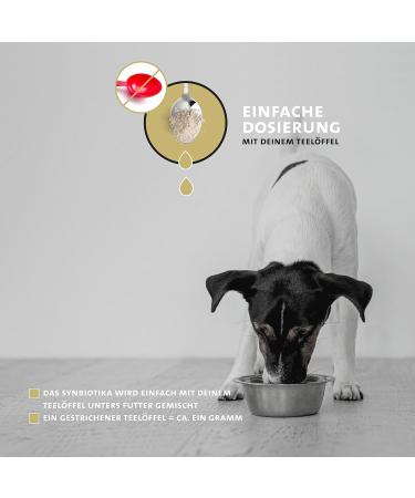 Peticare Probiotics & Prebiotics Powder for Dogs | Strengthen Immunity & Gut Health | Allergy Relief | Natural Supplement - Petdog Health 2501 125g - Buy Online on SooperMarket.com