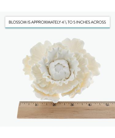 Global Sugar Art Premium Peony Sugar Cake Flower  White  Large  1 Count by Chef Alan Tetreault - Buy Online on SooperMarket.com