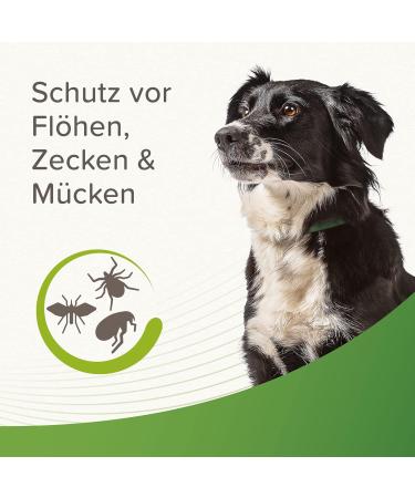 Beaphar Tick and Flea Protection Collar for Dogs - 4 Months Repellent Adjustable Rainproof - Dark Green 65 cm - Buy Online on SooperMarket.com
