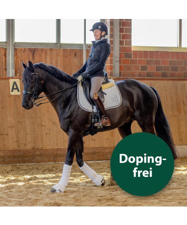 Equisept Fly & Brake Medallion 2 Pack | Innovative Insect Defense for Horses | Easy to Attach to Halter or Bridle | Doping-Free & Lasts Up to 4 Weeks - Buy Online on SooperMarket.com