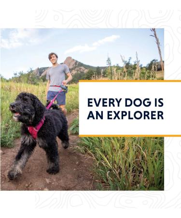Buy Ruffwear Front Range Dog Harness XXS - Reflective Adjustable Comfortable & No Pulling - Perfect for Daily Walks - Dark Gray - Buy Online on SooperMarket.com