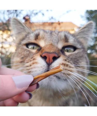 Buy Carnello Cat Treats - Delicious Cat Spaghetti & Snacks | Healthy Delicacies for Cats (4 x 30g) - Buy Online on SooperMarket.com