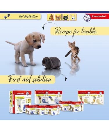 Protectaplast Self-Adhesive Blue Bandage for Pets (8cm x 2m) - Latex-Free & Glue-Free Wound Care for Dogs Cats & Horses - Buy Online on SooperMarket.com