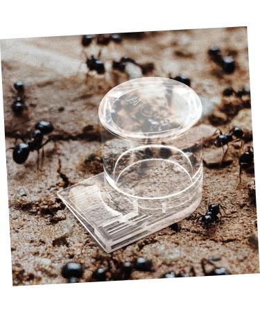 CORHAD Ants Waterer Pet Water Feeder Ant Nest Supplies Ant Cups Water for Ant Garden Ant Water Feeders Beehive Animal - Buy Online on SooperMarket.com