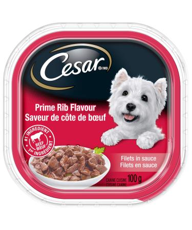 CESAR Filets in Sauce Wet Dog Food - Prime Rib Flavour - 100g (24 Pack) Prime Rib 100 g (Pack of 24)